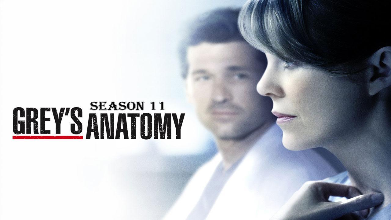 مسلسل Grey's Anatomy الموسم 11 الحلقة 16 السادسة عشر