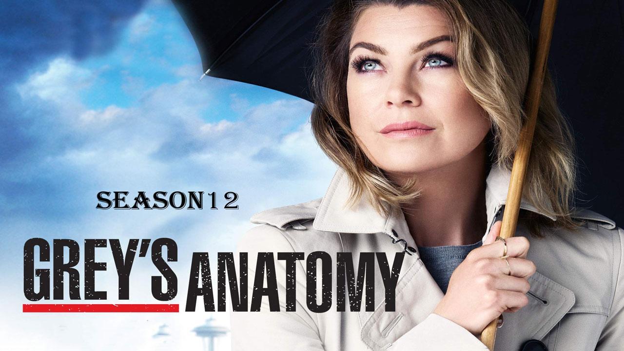 مسلسل Grey's Anatomy الموسم 12 الحلقة 19 التاسعة عشر
