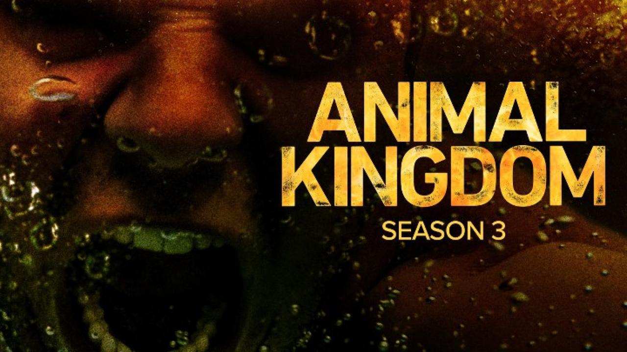 مسلسل Animal Kingdom الموسم الثالث الحلقة 1 الاولي مترجمة