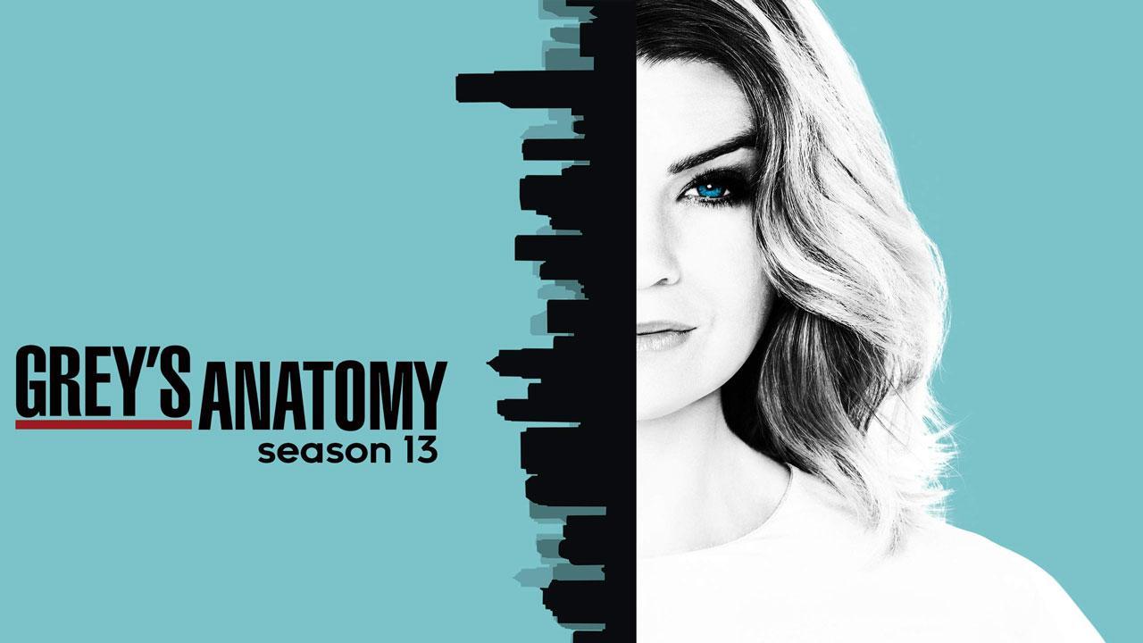 مسلسل Grey's Anatomy الموسم 13 الحلقة 17 السابعة عشر