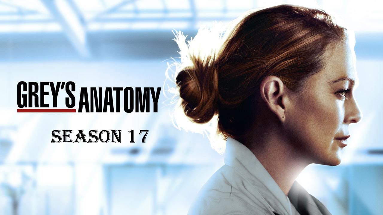 مسلسل Grey's Anatomy الموسم 17 الحلقة 6 السادسة