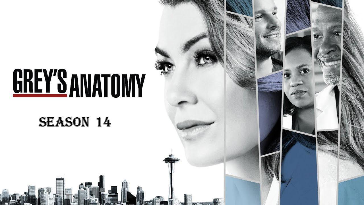 مسلسل Grey's Anatomy الموسم 14 الحلقة 14 الرابعة عشر