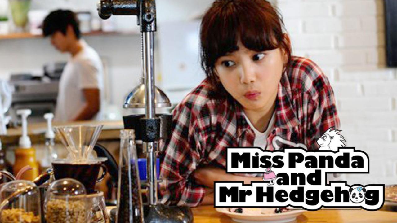 مسلسل Miss Panda Mr Hedgehog الحلقة 2 الثانية مترجمة