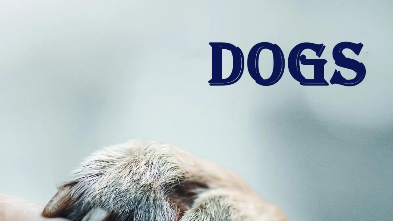 مسلسل Dogs الموسم الاول الحلقة 2 الثانية مترجمة